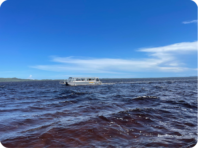 PHOTOS FOR NEWSLETTER 12 – 3